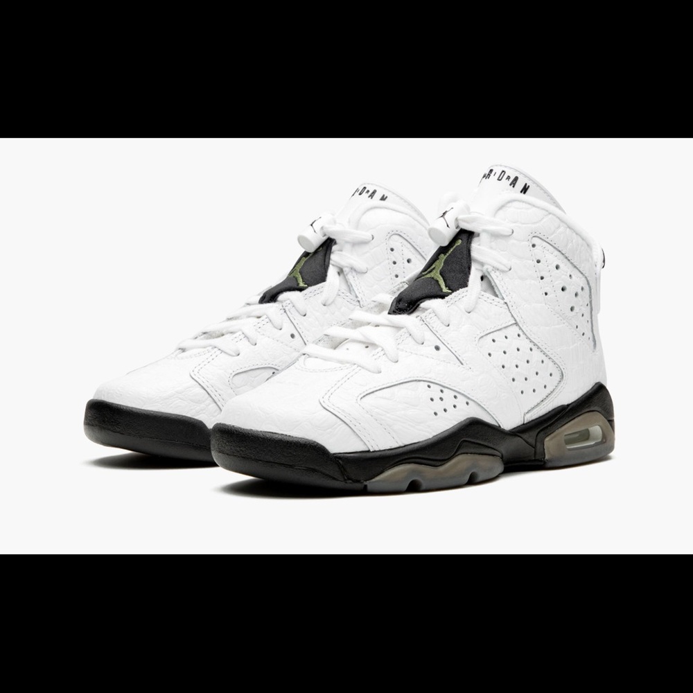 Air Jordan Retro 6 “alligator”
